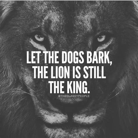 let the dogs bark the lion is still the king